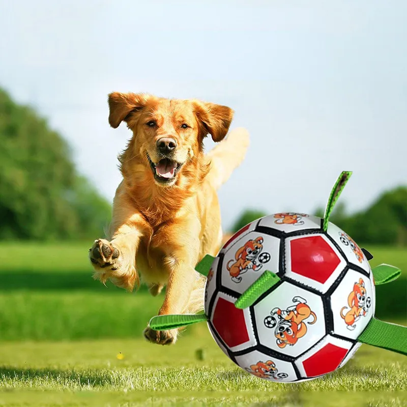 Interactive Football Dog Toys Outdoor Training Soccer Ball TAYLOR