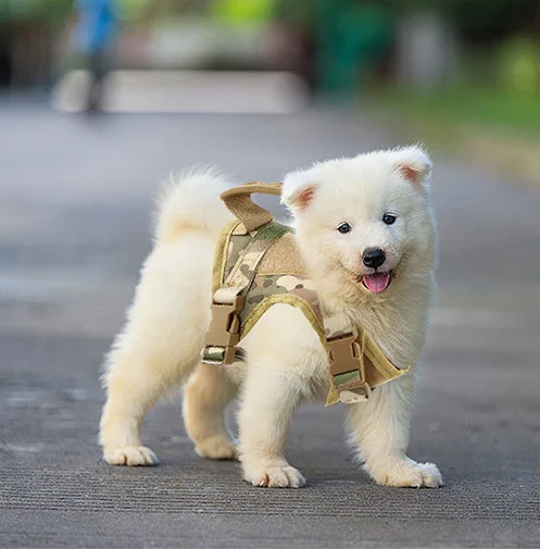 Pet Tactical Escape Proof Harness