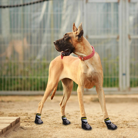 Anti-Slip Paw Protector Booties