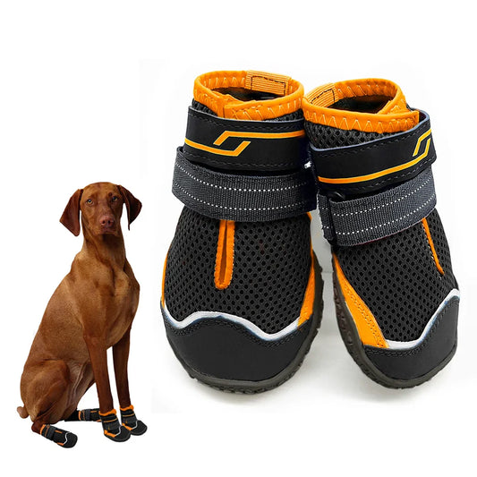 All-Season Pet Running Shoes