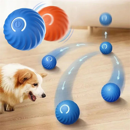 Interactive Pet Bouncing Ball