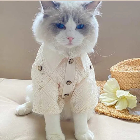 Exquisite BlueTime Pet Summer Shirt