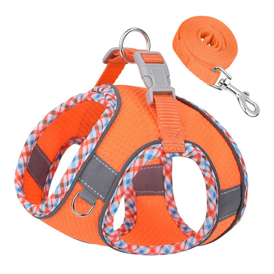 Multipoint Reflective Harness Set