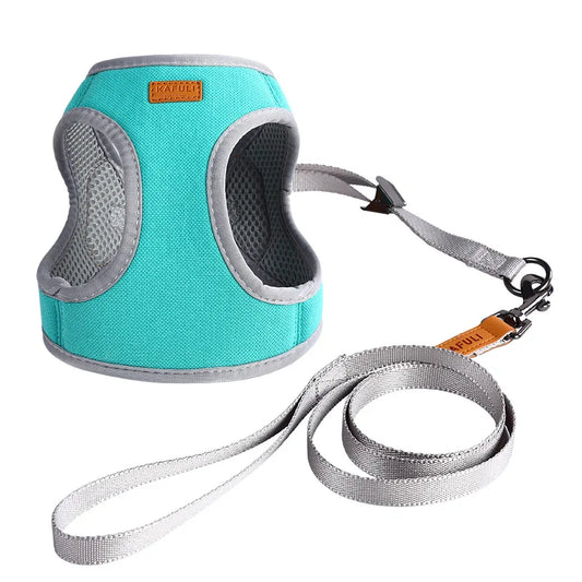 KAFULI Dog Harness and Leash Set