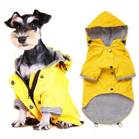 Canine Drawstring Raincoat