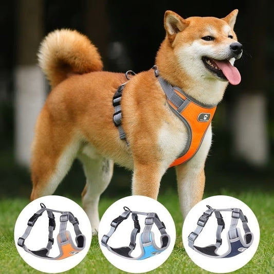 Outdoors Reflective Pet Harness