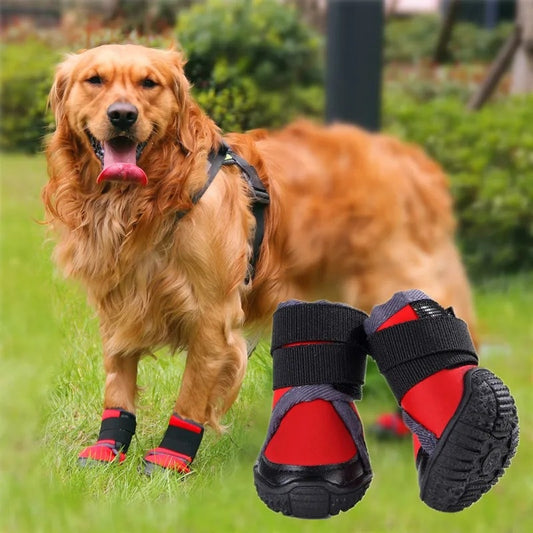 Outdoors Sporty Pet Shoes