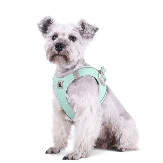 Bororo Sport Pet Harness Vest