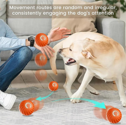 Interactive Pet Bouncing Ball