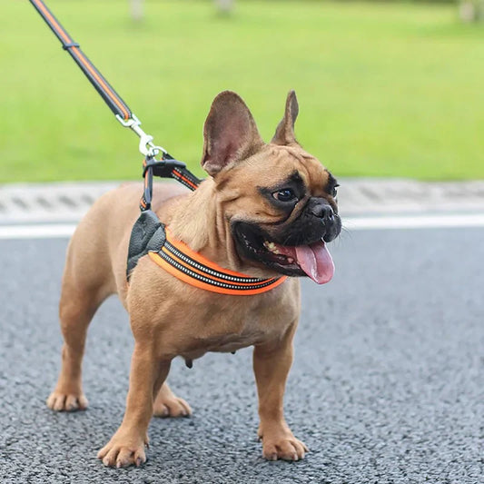 Saddle Reflective Pet Harness